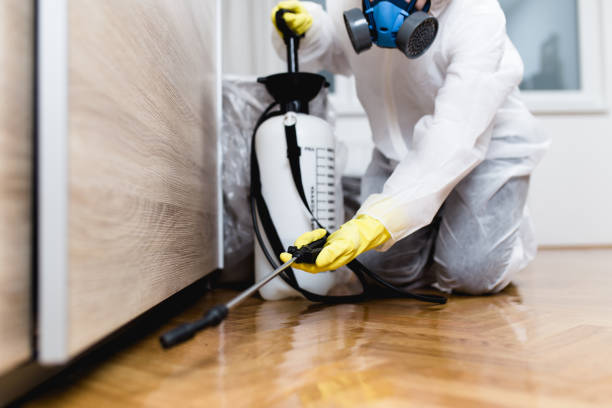 Best Mosquito Control Services  in Sandy Valley, NV