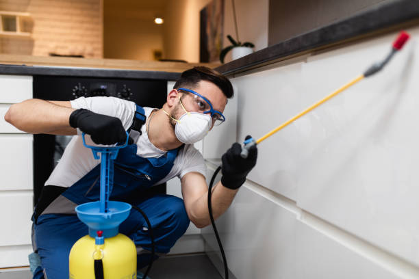 Best Local Pest Control Services  in Sandy Valley, NV