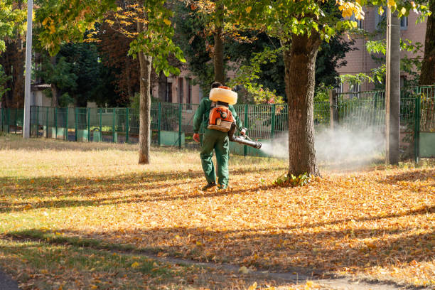 Best Cockroach Control Services  in Sandy Valley, NV